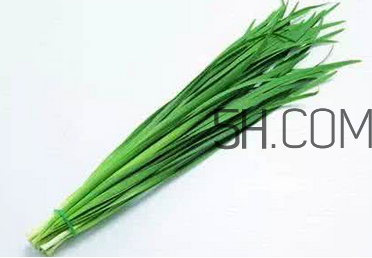 立秋后可以種韭菜嗎？怎樣種韭菜？