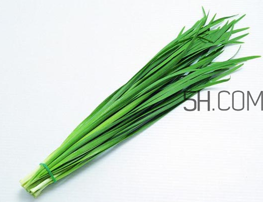 秋天吃韭菜好嗎？韭菜和莧菜能一起吃嗎？