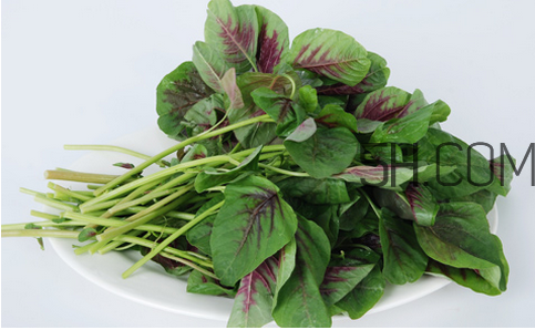 莧菜為什么是紅的？莧菜是涼性的嗎？