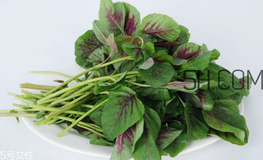 上火能吃咸莧菜嗎？寶寶能吃莧菜嗎？