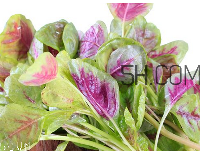 上火能吃咸莧菜嗎？寶寶能吃莧菜嗎？