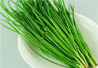 立秋后可以種韭菜嗎？怎樣種韭菜？