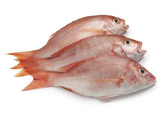 鯛魚多少錢一斤？鯛魚魚骨有什么營(yíng)養(yǎng)價(jià)值
