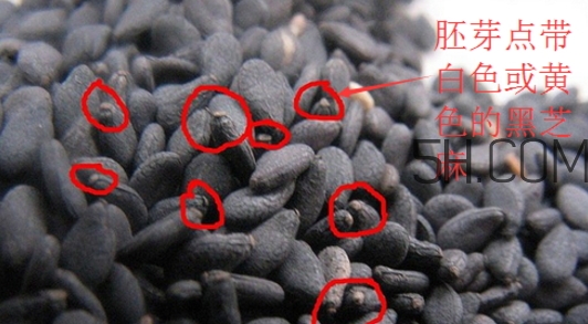 黑芝麻清洗掉色正常嗎？黑芝麻有黑色素嗎？