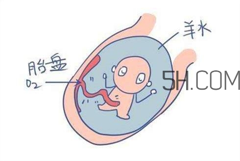 怎么防止羊水早破？羊水早破的危害