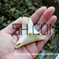 餃子和面用熱水還是冷水？餃子和面要醒多長時間？