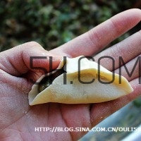 餃子和面用熱水還是冷水？餃子和面要醒多長時間？