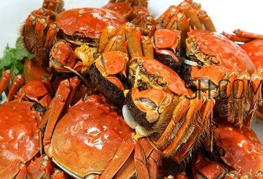 孕婦吃螃蟹多久流產(chǎn)？孕婦吃多少螃蟹會(huì)流產(chǎn)？