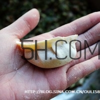 餃子和面用熱水還是冷水？餃子和面要醒多長時間？