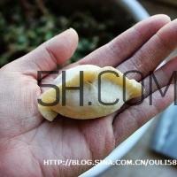 餃子和面用熱水還是冷水？餃子和面要醒多長時間？