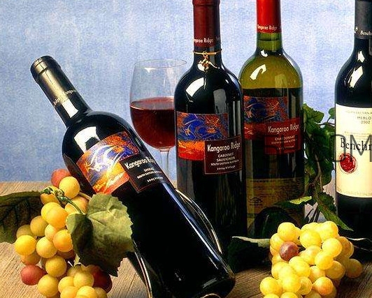 小孩能不能喝葡萄酒？高血糖能不能喝葡萄酒