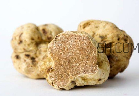 松露不能和什么一起吃？松露有毒嗎