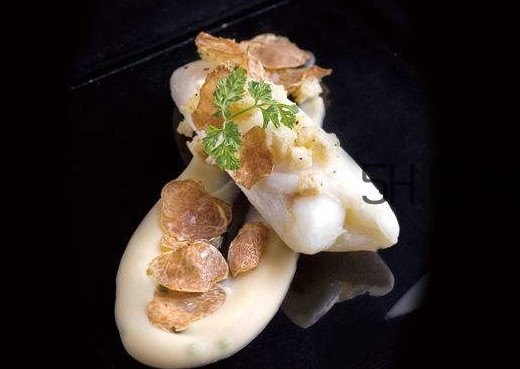 白松露是什么？白松露的功效與作用