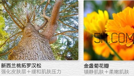 the saem得鮮眼霜適合什么年齡？得鮮眼霜怎么樣？