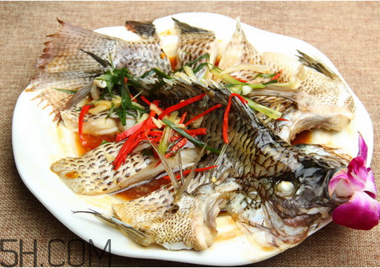 沒有魚刺的魚是哪種魚？如何挑選魚？