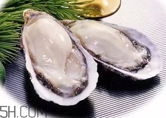 海蠣子是寒性的嗎？海蠣子是蒸還是煮好吃
