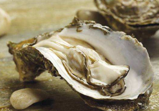 海蠣子是生蠔嗎？海蠣子和生蠔的區(qū)別