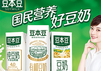 豆本豆豆奶多少錢一箱？豆本豆豆奶價格