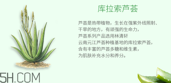 林清軒蘆薈面膜泥怎么樣？林清軒蘆薈面膜泥測(cè)評(píng)