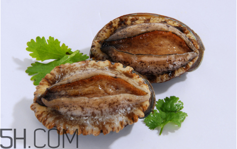 鮑魚吃了會上火嗎？鮑魚是發(fā)物嗎？