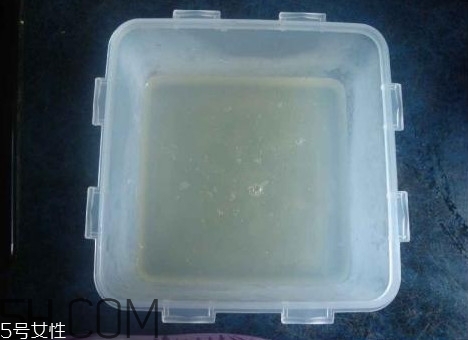 瓊脂是什么東西？瓊脂對人體有什么好處