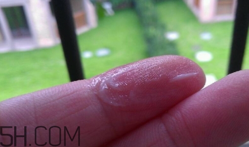 百雀羚乳液多少錢(qián)一瓶？百雀羚乳液專柜價(jià)格