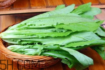 西紅柿和油麥菜能一起吃嗎？油麥菜能包餃子嗎