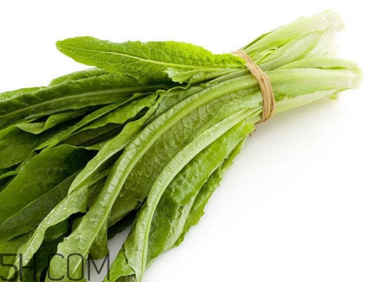 油麥菜怎么做好吃？油麥菜怎么種植