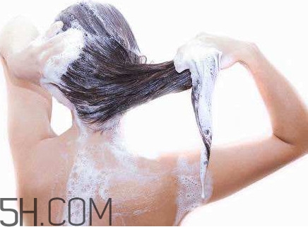 醋洗頭是白醋還是陳醋？用醋洗頭要用洗發(fā)水嗎？