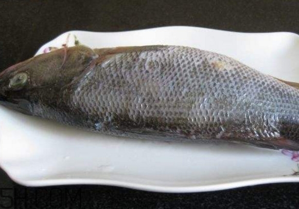 鮭魚(yú)是三文魚(yú)嗎？鮭魚(yú)的營(yíng)養(yǎng)價(jià)值