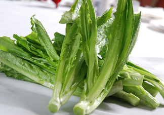 油麥菜為什么叫油麥菜？油菜和油麥菜的區(qū)別