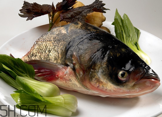 胖頭魚有什么營(yíng)養(yǎng)？胖頭魚是鰱魚嗎