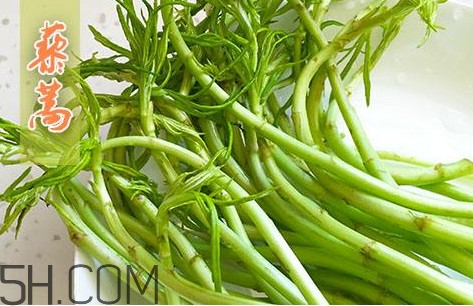 藜蒿什么季節(jié)有？藜蒿是發(fā)物嗎