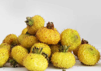 刺梨能降血壓嗎？刺梨是哪里的特產(chǎn)