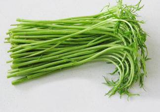 藜蒿多少錢一斤？藜蒿和蘆蒿是同一種菜嗎？