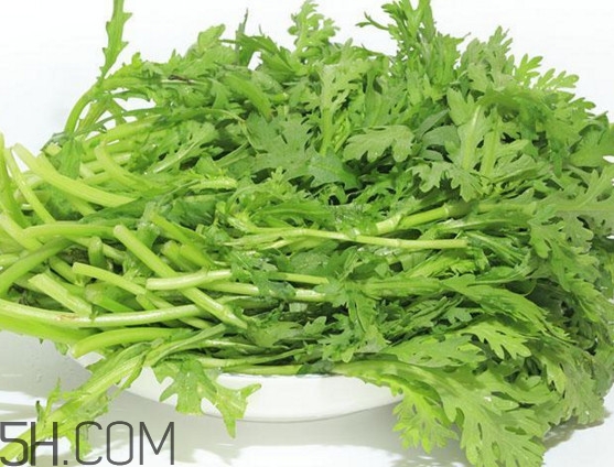皇帝菜與什么煲湯好吃？皇帝菜性寒嗎