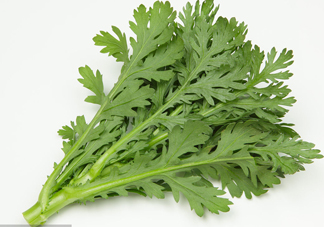 皇帝菜是什么樣子？皇帝菜又叫什么菜