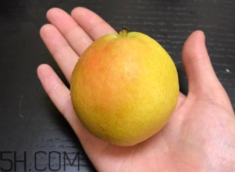 南果梨是寒性水果嗎？南果梨是涼性還是熱性