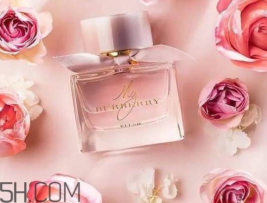 my burberry blush香水怎么樣？my burberry blush好聞嗎？