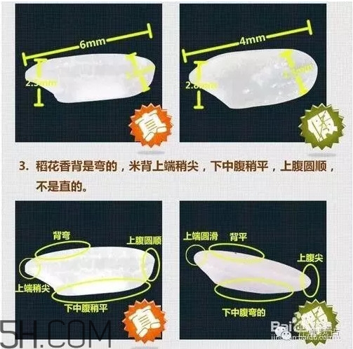五常大米怎么辨別真假？五常大米和普通米的區(qū)別
