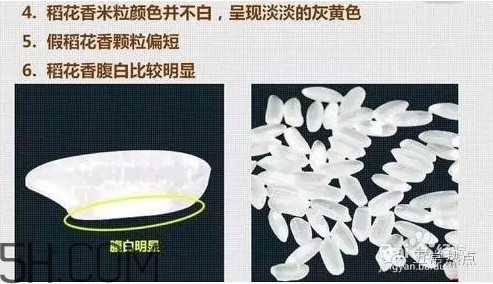五常大米怎么辨別真假？五常大米和普通米的區(qū)別
