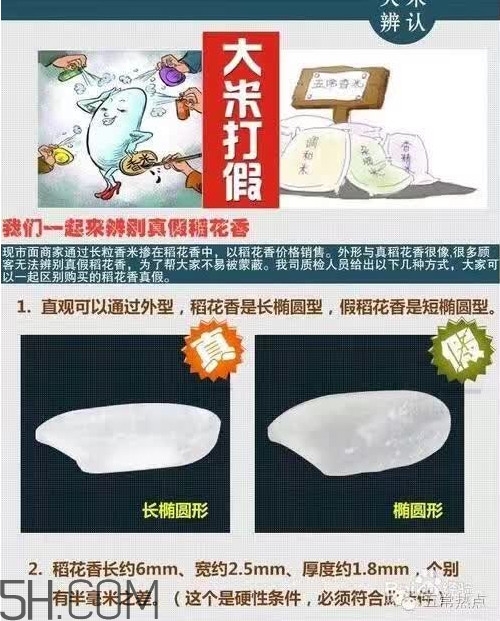 五常大米怎么辨別真假？五常大米和普通米的區(qū)別