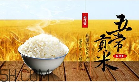 五常大米什么時候種植？五常大米是什么品種