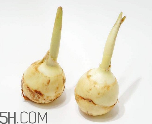 多吃慈菇有什么好處和害處？慈菇怎么保存