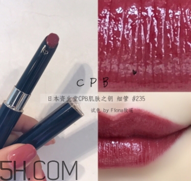 豬肝色口紅哪個牌子好？豬肝色口紅推薦