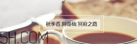 冬天適合什么香水？適合冬天的小眾香型香水推薦
