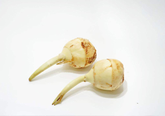 慈菇是發(fā)物嗎？慈菇是馬蹄嗎