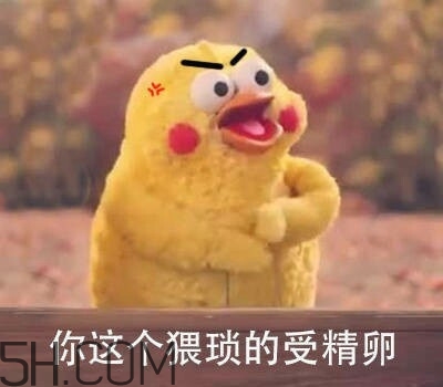 你這個(gè)猥瑣的受精卵是什么意思？你這個(gè)猥瑣的受精卵表情包