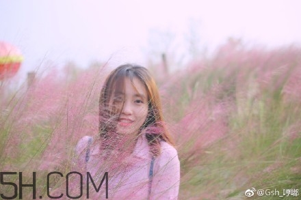 粉黛亂子是什么植物？粉黛亂子草花語(yǔ)