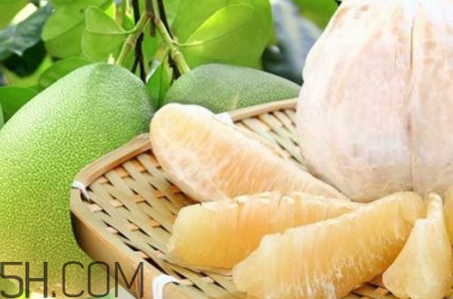 文旦柚多少錢一斤？文旦柚是寒性食物嗎